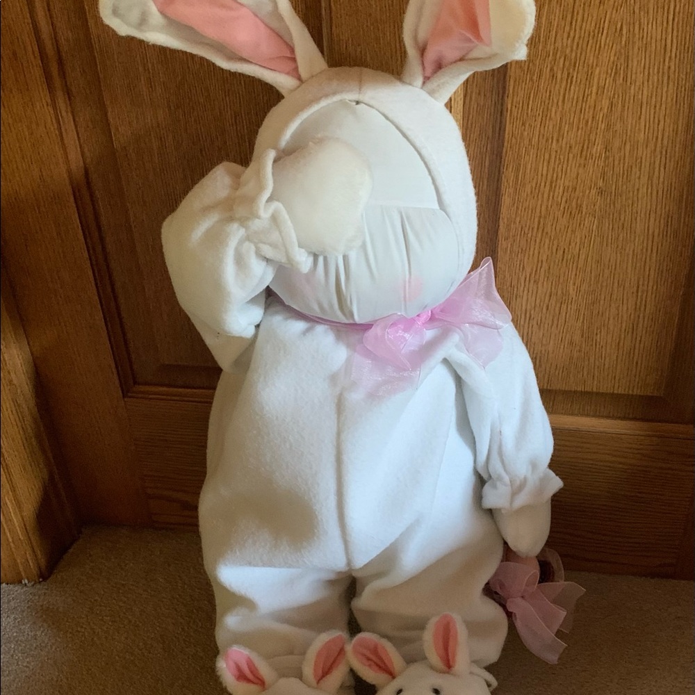 Peek-a-Boo Bunny - Picture 3 of 7